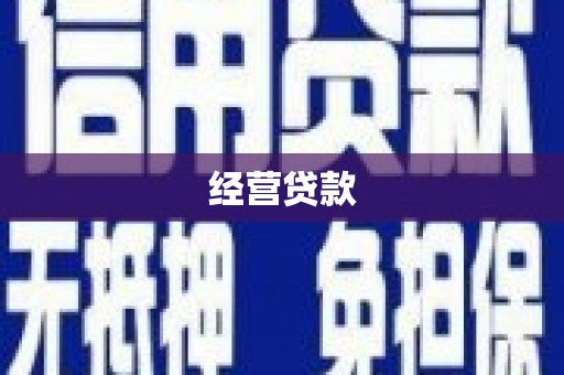 大英经营贷款