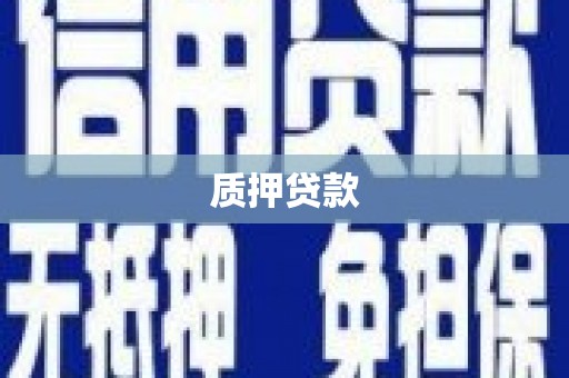 大英质押贷款