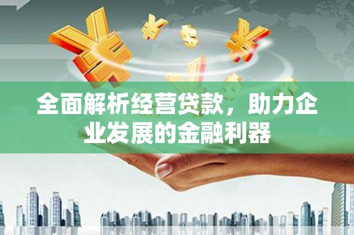 大英全面解析经营贷款，助力企业发展的金融利器