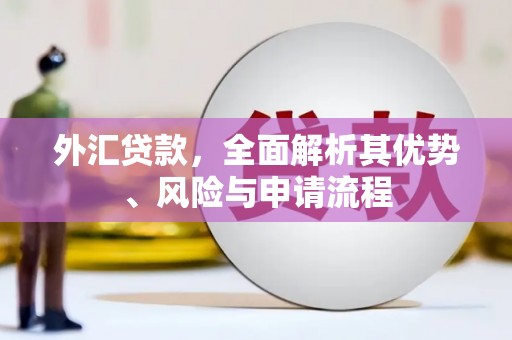 大英外汇贷款，全面解析其优势、风险与申请流程