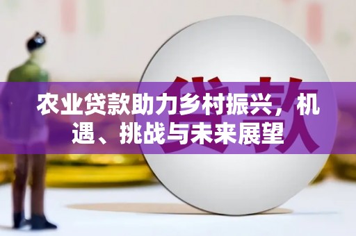 大英农业贷款助力乡村振兴，机遇、挑战与未来展望