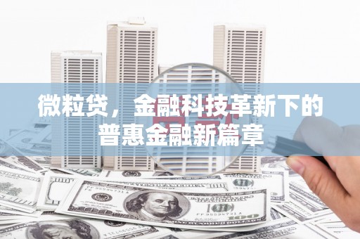 大英微粒贷，金融科技革新下的普惠金融新篇章