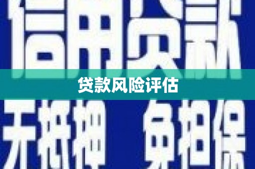 大英贷款风险评估