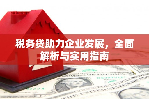 大英税务贷助力企业发展，全面解析与实用指南