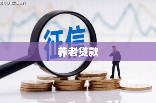 大英养老贷款