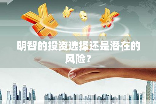 大英明智的投资选择还是潜在的风险？