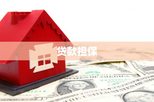 大英贷款担保