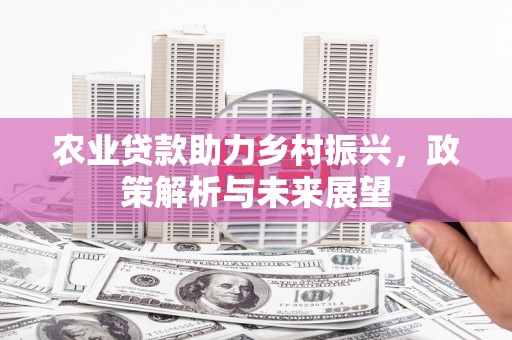 大英农业贷款助力乡村振兴，政策解析与未来展望