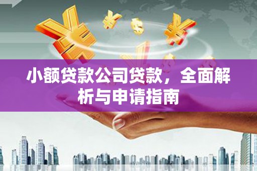 大英小额贷款公司贷款，全面解析与申请指南