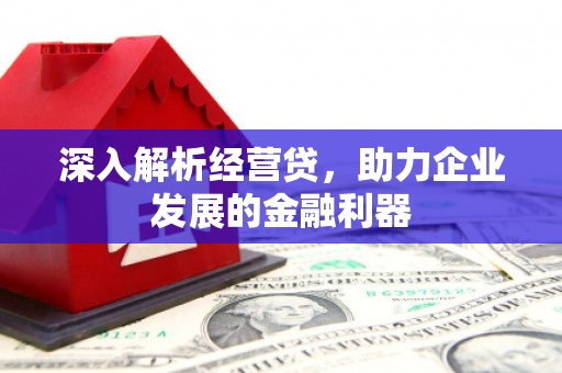 大英深入解析经营贷，助力企业发展的金融利器