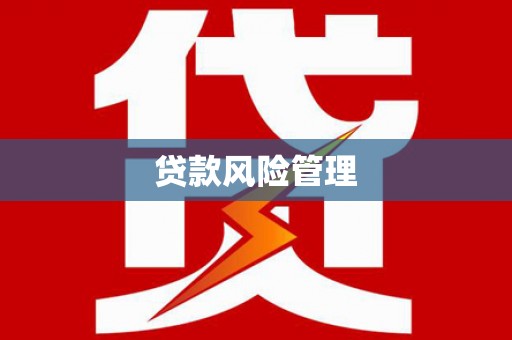 大英贷款风险管理