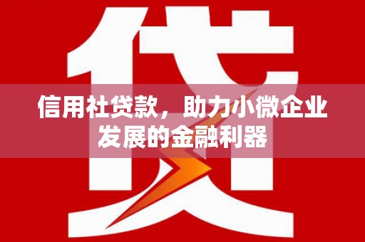 大英信用社贷款，助力小微企业发展的金融利器