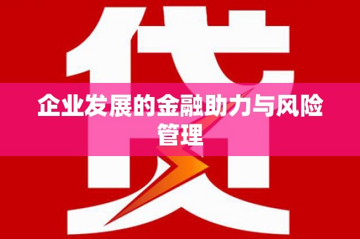 大英企业发展的金融助力与风险管理
