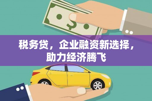 大英税务贷，企业融资新选择，助力经济腾飞