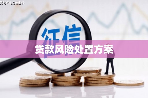 大英贷款风险处置方案