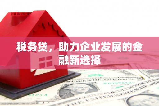 大英税务贷，助力企业发展的金融新选择