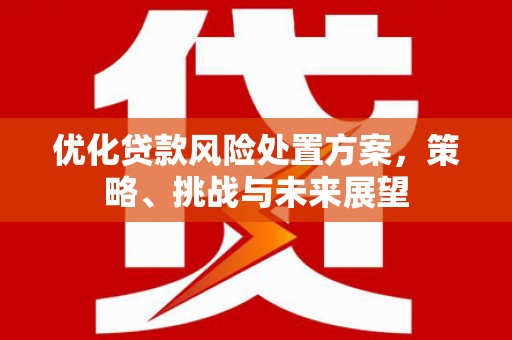 大英优化贷款风险处置方案，策略、挑战与未来展望