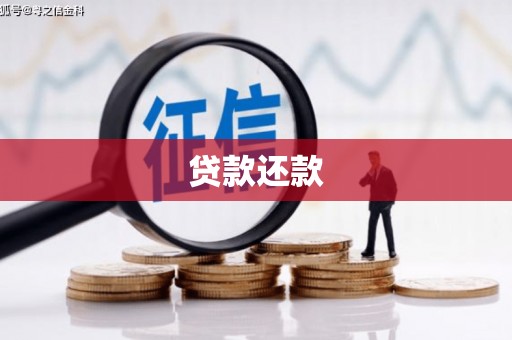 大英贷款还款
