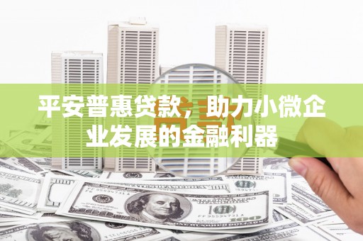 大英平安普惠贷款，助力小微企业发展的金融利器