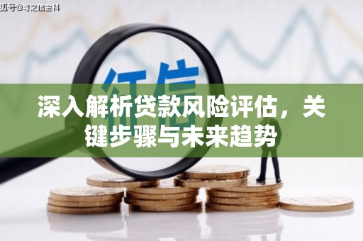 大英深入解析贷款风险评估，关键步骤与未来趋势