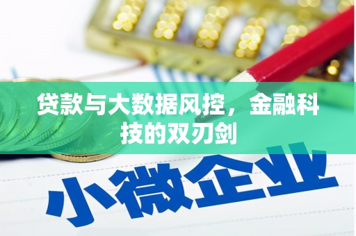 大英贷款与大数据风控，金融科技的双刃剑