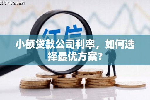 大英小额贷款公司利率，如何选择最优方案？