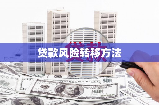 大英贷款风险转移方法