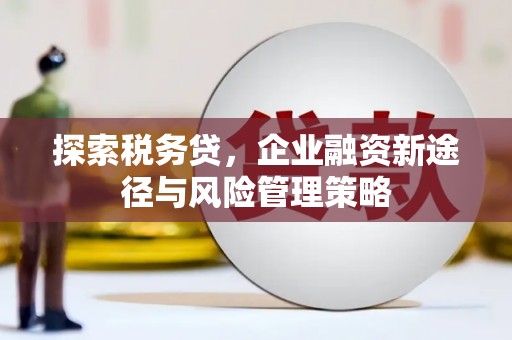 大英探索税务贷，企业融资新途径与风险管理策略