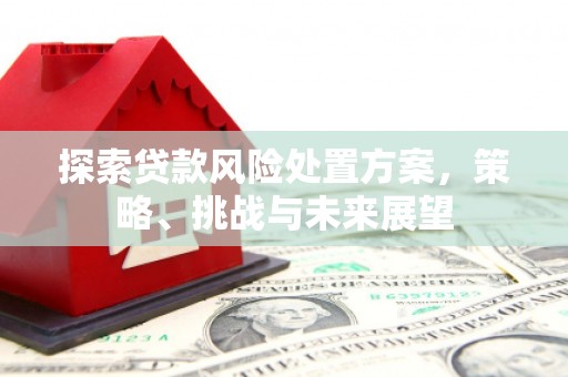 大英探索贷款风险处置方案，策略、挑战与未来展望