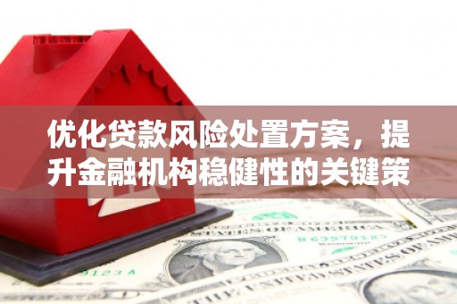 大英优化贷款风险处置方案，提升金融机构稳健性的关键策略