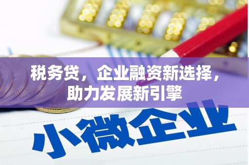 大英税务贷，企业融资新选择，助力发展新引擎