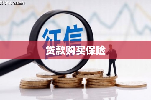 大英贷款购买保险