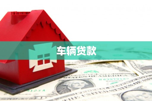 大英车辆贷款