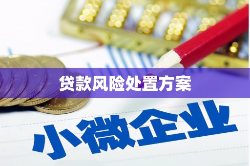 大英贷款风险处置方案