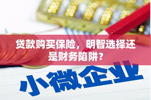 大英贷款购买保险，明智选择还是财务陷阱？