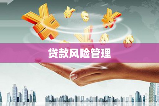 大英贷款风险管理