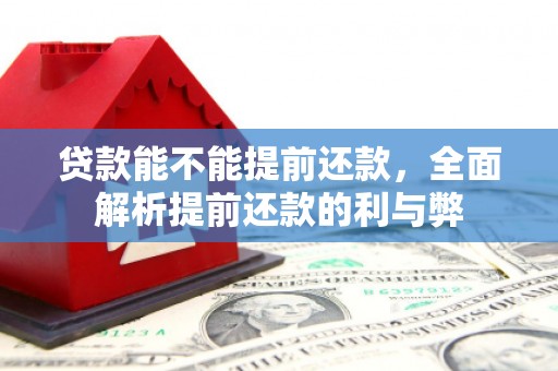 大英贷款能不能提前还款，全面解析提前还款的利与弊