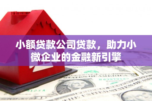 大英小额贷款公司贷款，助力小微企业的金融新引擎