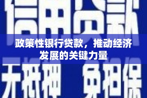 大英政策性银行贷款，推动经济发展的关键力量