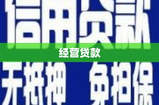 大英经营贷款
