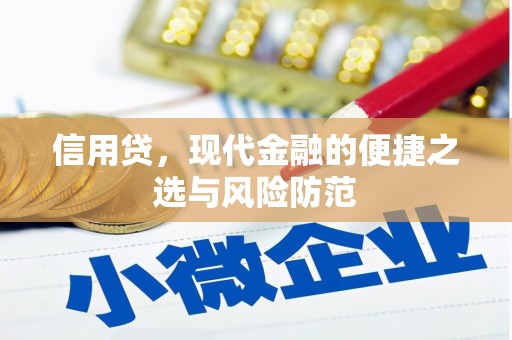 大英信用贷，现代金融的便捷之选与风险防范