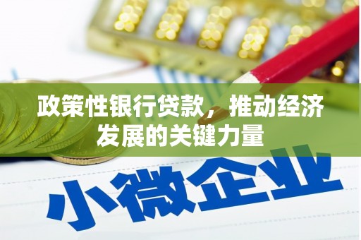 大英政策性银行贷款，推动经济发展的关键力量
