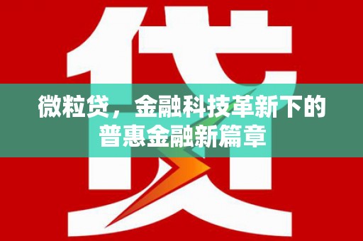 大英微粒贷，金融科技革新下的普惠金融新篇章