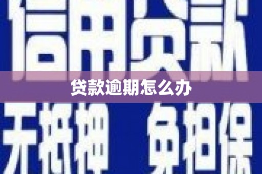 大英贷款逾期怎么办