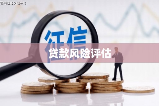 大英贷款风险评估