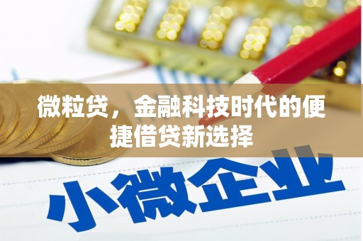 大英微粒贷，金融科技时代的便捷借贷新选择