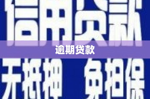 大英逾期贷款
