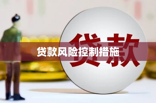 大英贷款风险控制措施