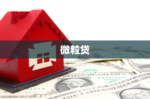 大英微粒贷