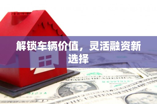 大英解锁车辆价值，灵活融资新选择